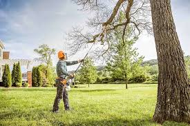 Best Weed Control  in Purcell, OK