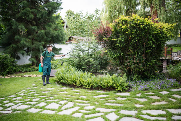 Best Lawn Disease Treatment  in Purcell, OK
