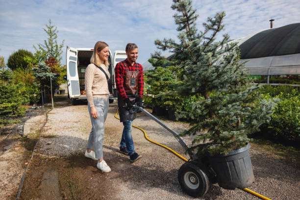 Best Hedge Trimming  in Purcell, OK