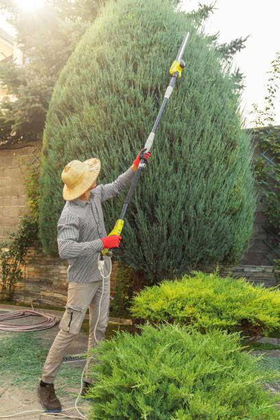 Best Leaf Removal  in Purcell, OK